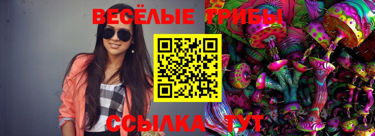 Галлюциногенные грибы Magic Shrooms Калач-на-Дону