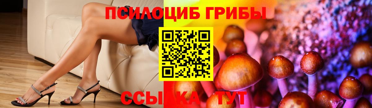 Псилоцибиновые грибы мицелий  как найти закладки  Вход с VPN  Калач-на-Дону  Псилоцибиновые грибы мицелий 