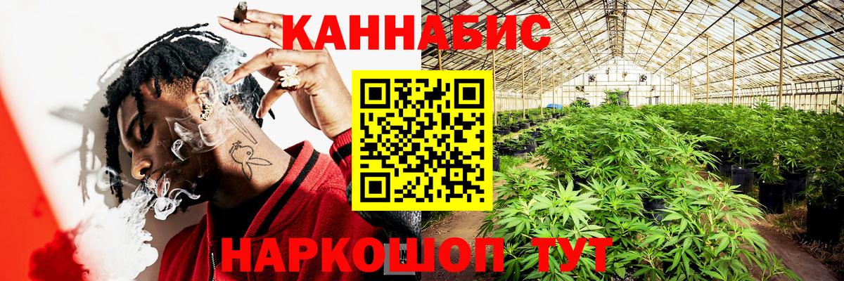 МАРИХУАНА план  Вход с VPN  Канабис OG Kush  Калач-на-Дону 